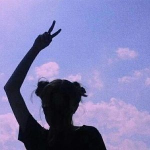 Meet your Posher, Prestley